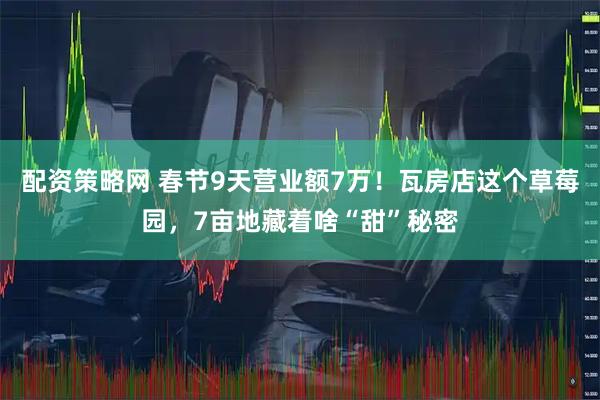 配资策略网 春节9天营业额7万！瓦房店这个草莓园，7亩地藏着啥“甜”秘密